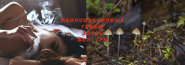 ALPHA-PVP Алексеевка