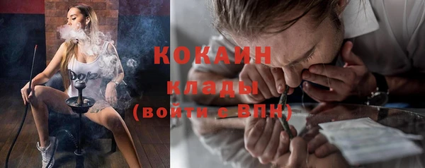 гашик Алзамай