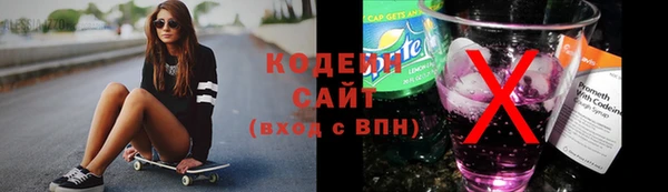 гашик Алзамай