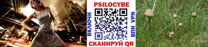 Галлюциногенные грибы Magic Shrooms  купить   ОМГ ОМГ рабочий сайт  Сунжа 