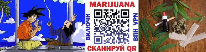 купить наркотики цена  Сунжа  Конопля сатива 